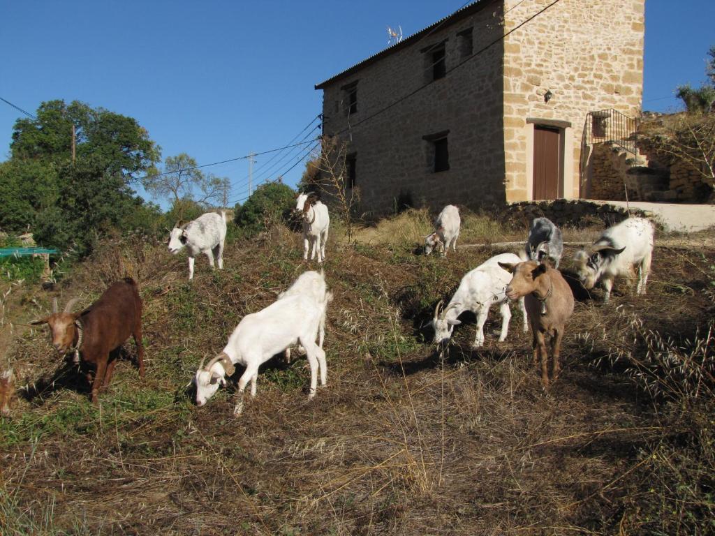 فندق Valjunqueraفي  La Telleria المظهر الخارجي الصورة